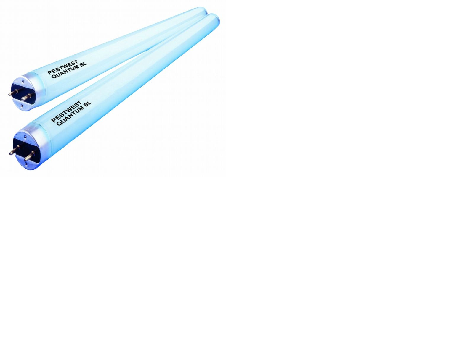 TUBE NEON 32W INSECTIVOR ROND (1)