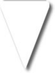 ETIQUETTE TRIANGLE BLANC 3,3X4,5 N°1 (100)