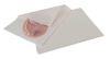 FEUILLE PARAFFINE 25X32CM