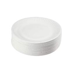 ASSIETTE CARTON BLANC 23CM RONDE (100)