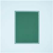 ARDOISE VERTE 20X15CM