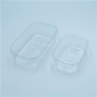 BARQUETTE FRUITS PLASTIQUE 250GRS