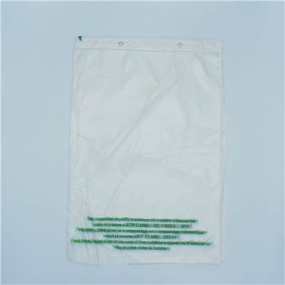 SAC LIASSE BIO TRANSPARENT 230X310 13µ