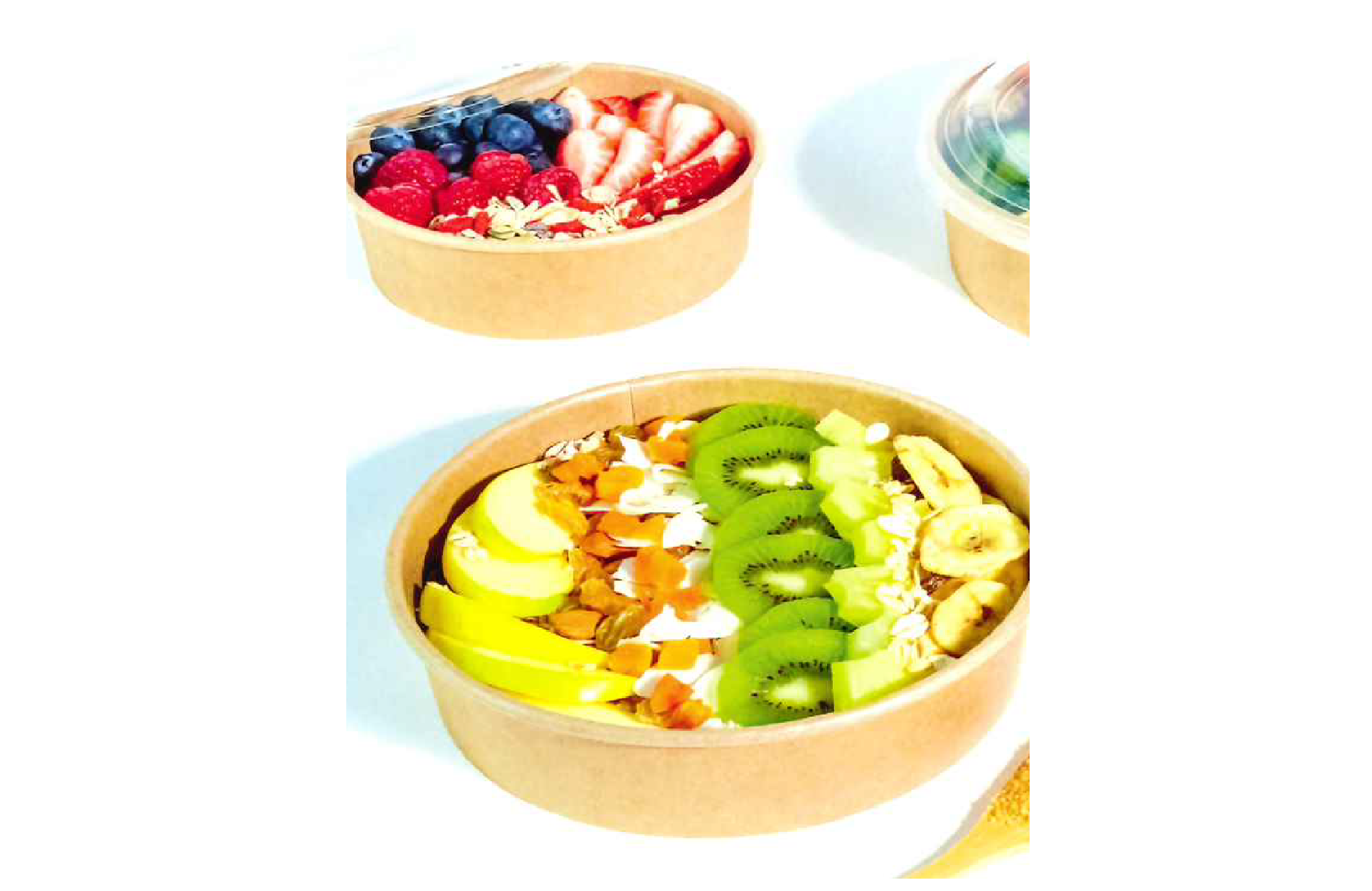 SALADIER POKEPACK CARTON 750GRS (50)