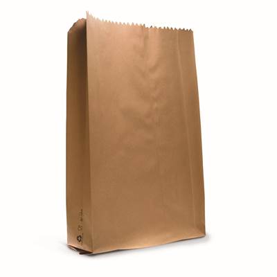 SAC US KRAFT BRUN 25X15X43CM SANS IMP